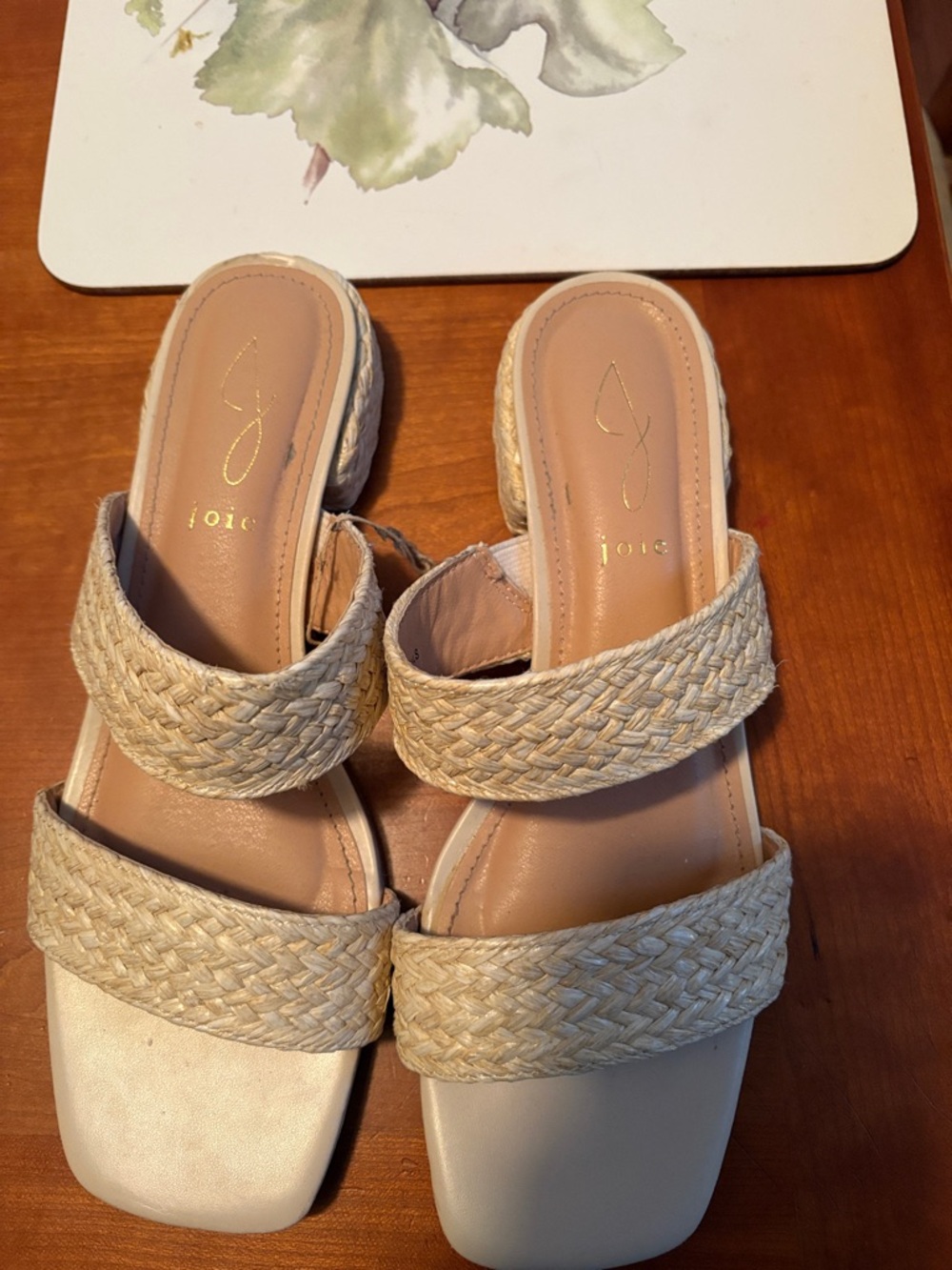 Joie Natural Braided Double-Strap Slide Sandals